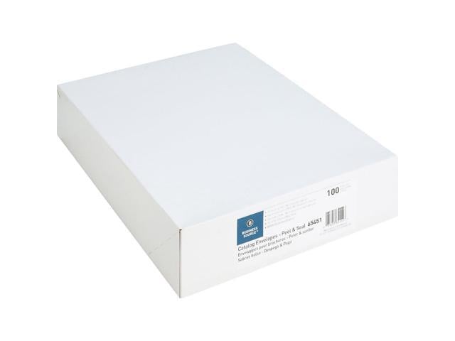 Business Source Catalog Envelopes Self Seal 10