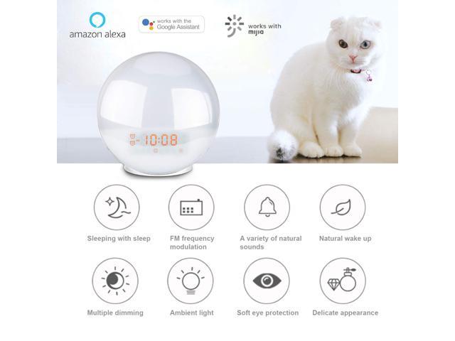 Snooze Function,8 Ring Tones Smartlife Android Smart Wake-Up Light Sunrise Simulation Digital Alarm Clock Compatible with Alexa 7 Colorful Atmosphere Lamp FM Radio iOS App Control