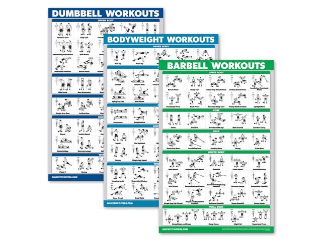 dumbbell workout set
