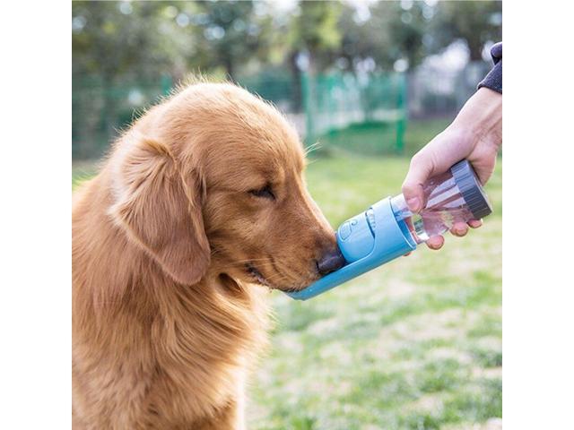 portable dog water bottle