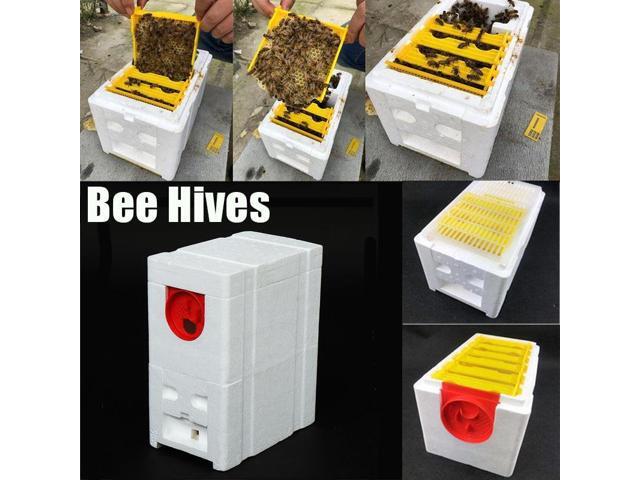 Harvest Bee Hive Beekeeping King Box Foam Frames Pollination Box Beekeeping Kits