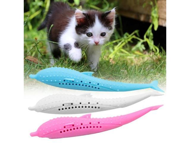 cat toothbrush toy