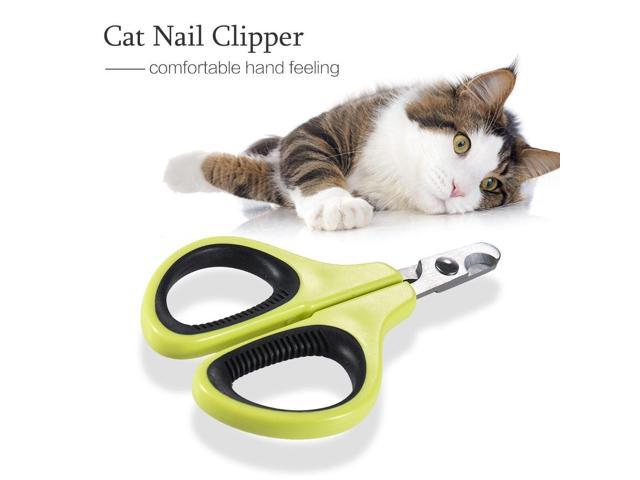 kitten nail trimmer