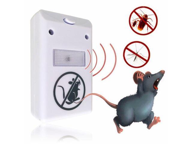 electronic rodent control
