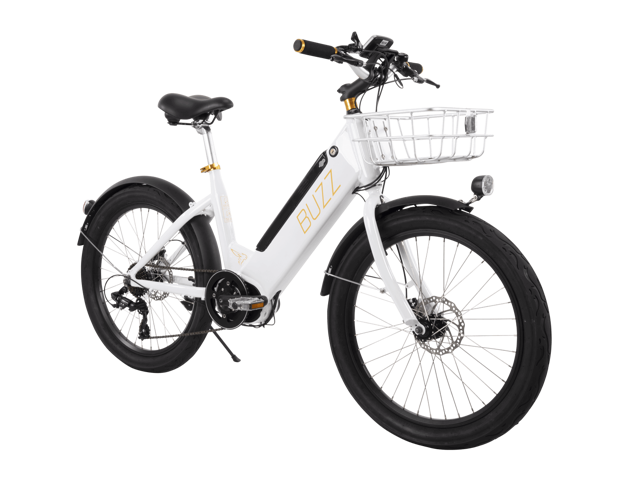 newegg electric bike