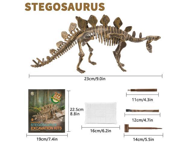 Kids Dinosaur Stegosaurus Digging Excavation Science Educational  Kit 
