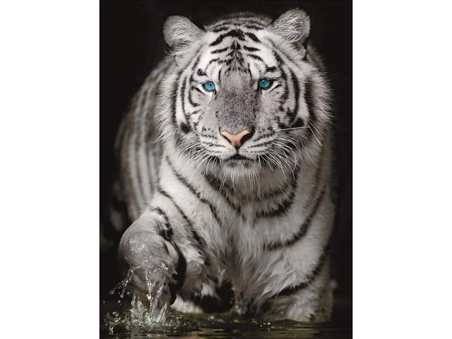 Tiger Design Collage 1000 Piece Jigsaw Puzzle Toy Any Images & Text Brand New 