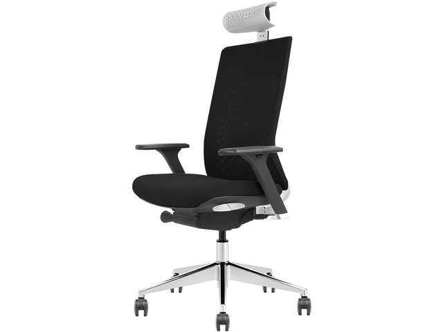 GM Seating X-Seven Task Chair - Ergonomic Office Chair with Lumber ...