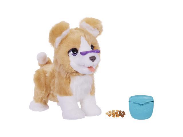 ricky the trick lovin pet