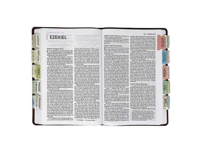 Mr. Pen- Bible Tabs, 75 Tabs, Laminated, Bible Journaling Supplies, Bible  Tabs Old and New Testament, Bible Tabs for Women, Bible Tabs for Journaling