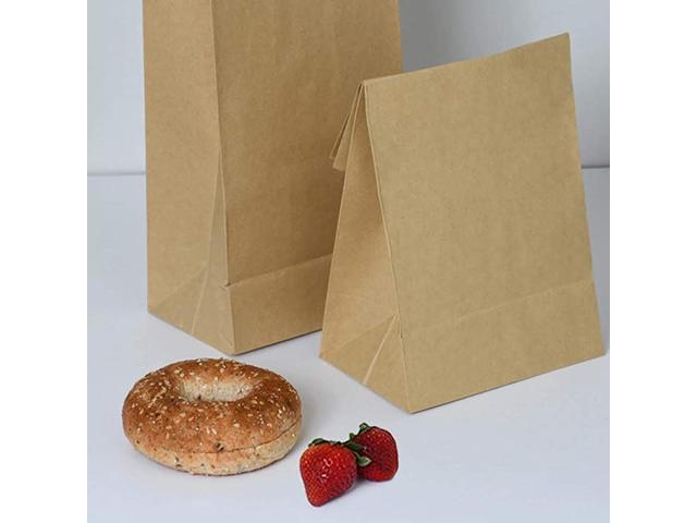 Cheer.US Kraft Brown Paper Bags, Brown Paper Lunch Bags Bread Bags Paper  Snack Bags for Packing Lunch - Blank Kraft Brown Paper Bags for Arts &  Crafts Projects,100% Recycled Kraft Lunch Bags 