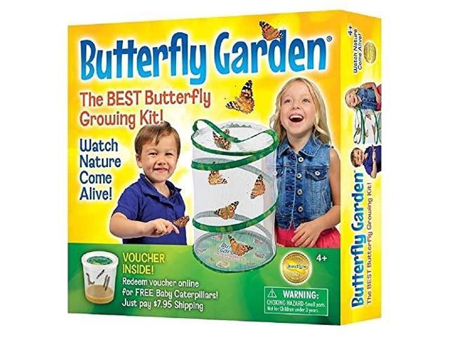Butterfly Growing Kit With Voucher to Redeem Caterpillars Later