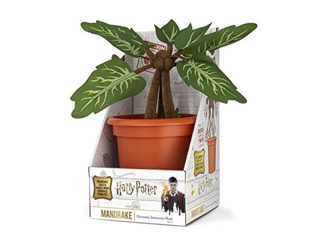 interactive mandrake