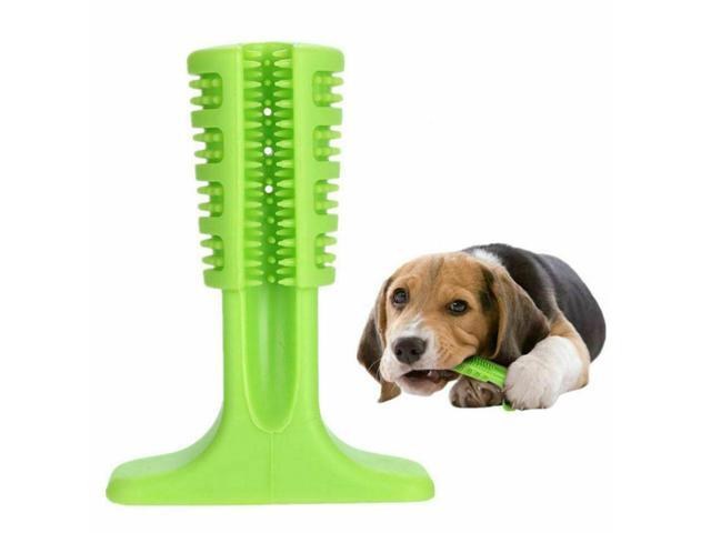 green dog chew toy