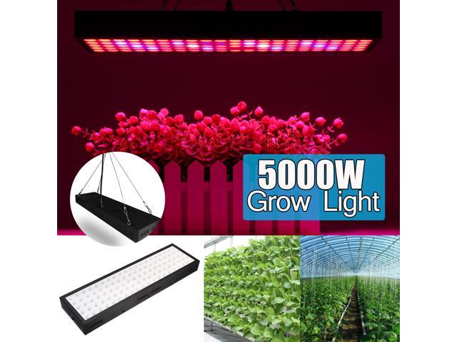 Details about   5000W LED Grow Light Panel Lamp Full Spectrum Hydroponic Plant Flower Growing L5 