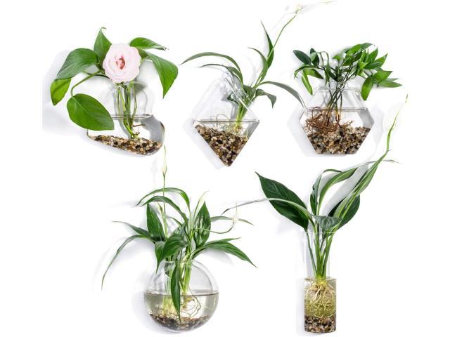 Indoor Wall Succulent Holder Round Hanging Planter for Air Plants Faux Flower 