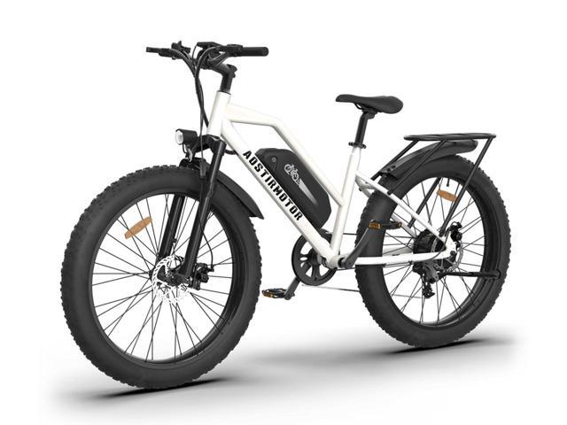 the dj 750w 48v 13ah fat bike