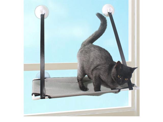 pet window perch