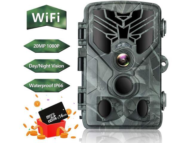 motion sensor game camera