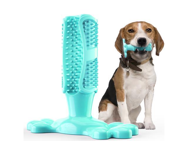 dog chew toy tooth brush