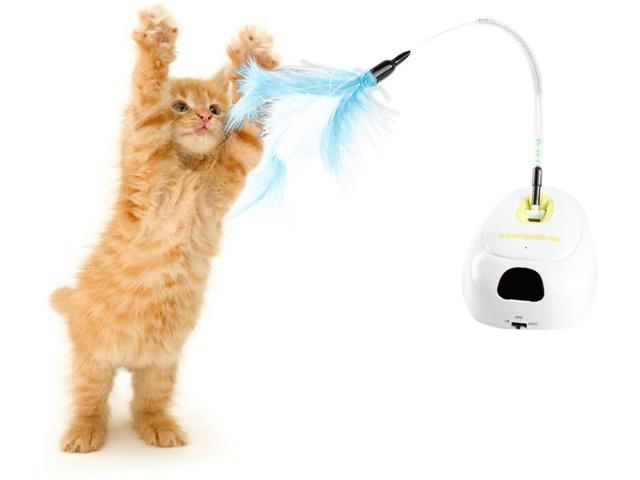 cat teaser toy