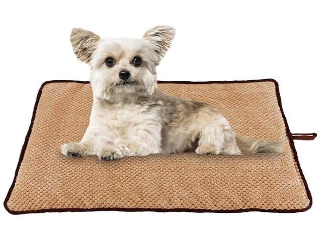 washable puppy bed