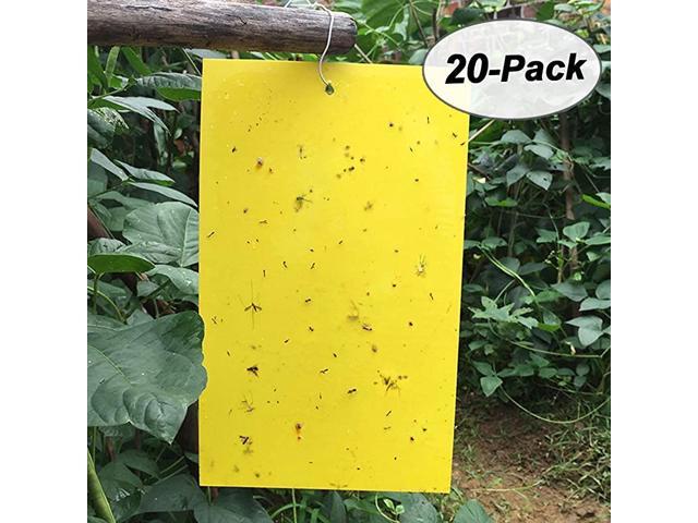 20Packs Dual-Sided Yellow Sticky Traps for Fungus Gnat Whitefly Leafminers Aphid