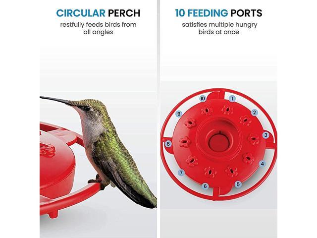 Handheld Hummingbird Feeders Perch Plastic Humming Birds Accessories Pack of 2 