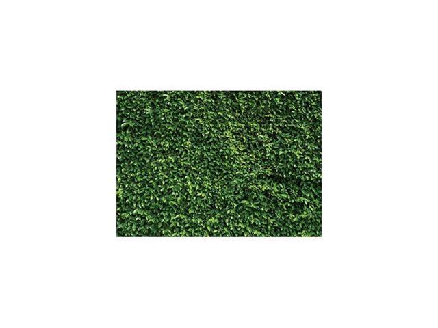 Green Leaves Backdrop Grass Backdrop Natural Green Lawn Party Photography Backdrop Birthday Newborn Baby Lover Wedding Photo Studio Props 8x6ft Newegg Com