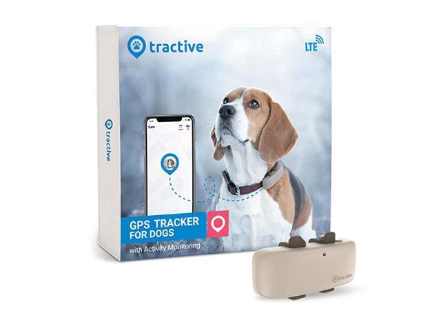 dog gps and activity tracker