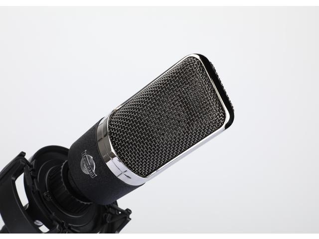 Heumnzoi EP-101L Condenser Microphone Computer Microphone Studio Condenser  Microphone Kit with Shock Absorber, Desktop Stand and Cable. For Games,