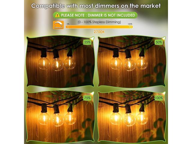  HAMLITE Camping String Lights, 2 in 1 USB Rechargeable Outdoor  String Lights(32.8Ft), Portable Camping Lights, Adjustable Brightness and 5  Modes, Sturdy Halloween Fairy Lights Christmas Decoration : Sports &  Outdoors