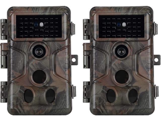 deer motion camera