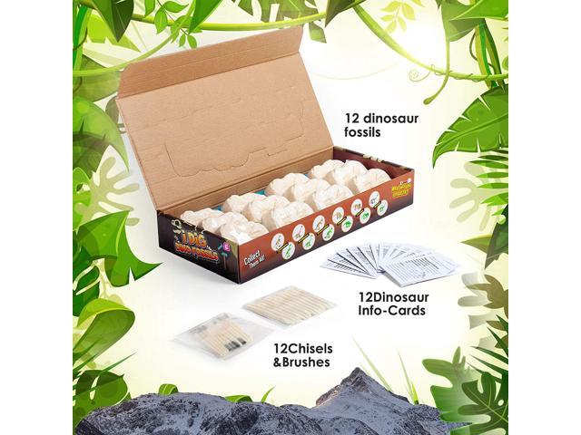 dinosaur dig fossil kit