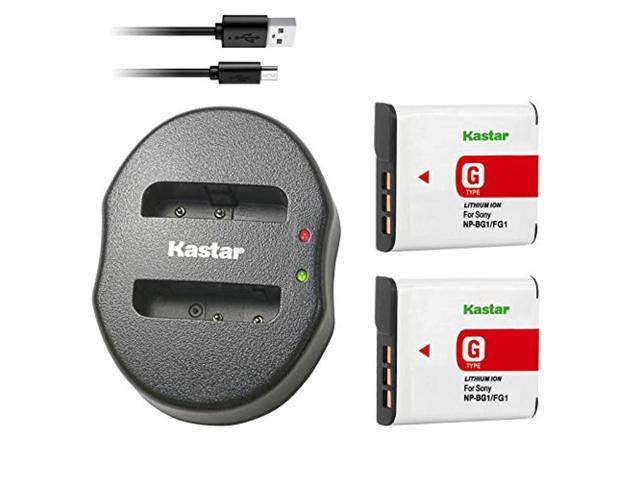 Kastar Battery X2 & Dual USB Charger for Kodak LB-080 Samsung IA-BH125C Ricoh DB-60 DB-65 Sigma BP-41 Pentax D-Li106 Panasonic CGA-S005 CGR-S005 DMW-BCC12 DMW-BCC12PP Leica BP-DC4 Fujifilm NP-70 