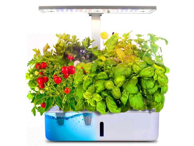 2 Seeds Indoor Herb Garden Kit with LED Spectrum Hydroponic Herb Garden Kit Garden Planter in-Home Smart Window Fresh Herbs Veggies Planter 