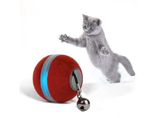 automatic cat ball