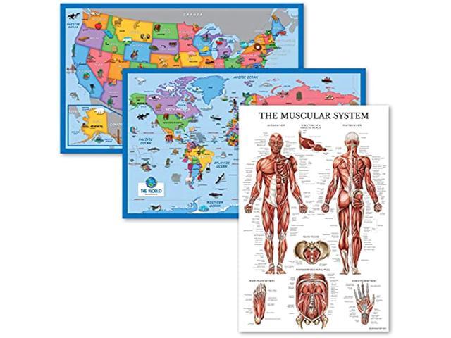 USA & World Map Blank Outline Posters 2 Pack LAMINATED, 18 x 29
