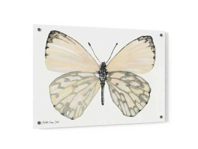 Epic Art 'Butterfly 2' by Stellar Design Studio, Acrylic Glass Wall Art,  36