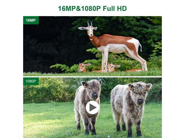 TOGUARD Mini Trail Camera 1080P 16MP Wildlife Hunting Deer Cam 120° Night Vision