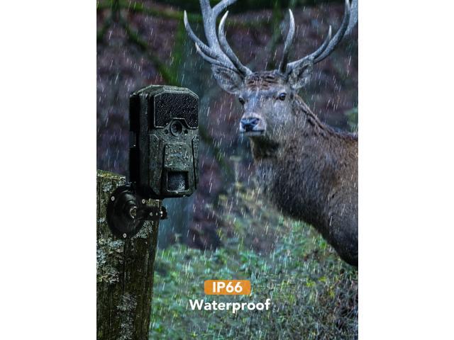 apeman 20mp trail camera