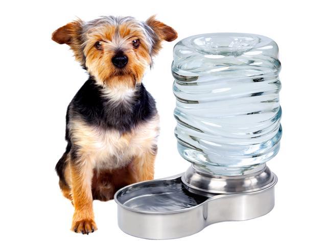 stainless steel auto dog waterer