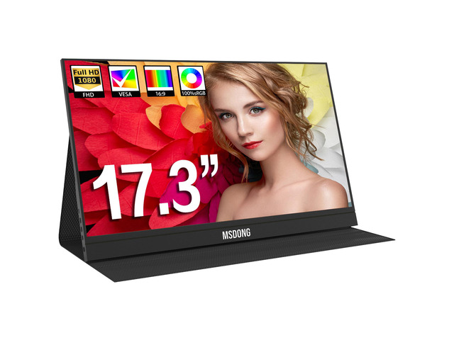17.3 inch Portable Monitor Ultra Slim - Mini HDMI USB Type-C Monitor ...