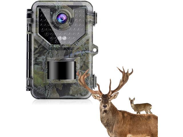 trail motion detector