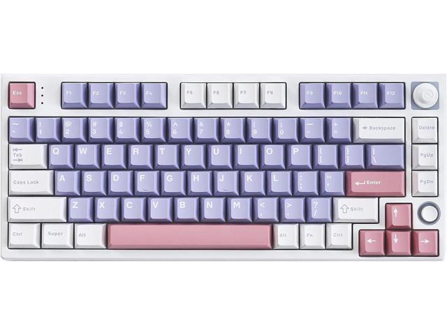 80 Keys 75% Mechanical Keyboard, RGB Backlit Hotswap Wireless Keyboard ...