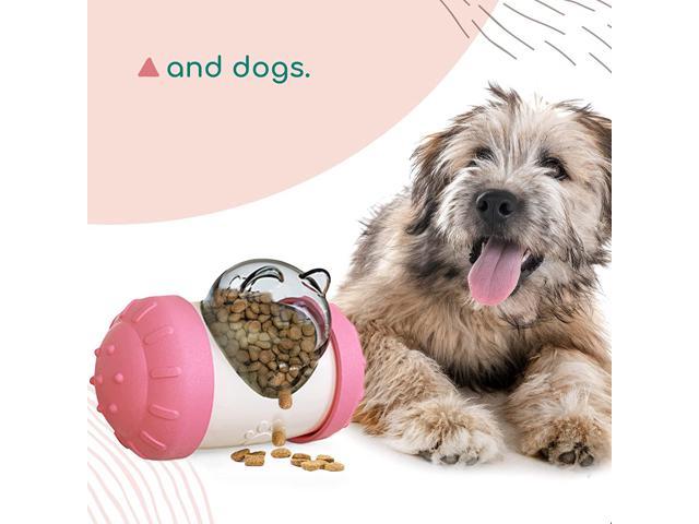 Slow Feeder for Cats & Small Dogs, Pet Treat Dispenser Toy to