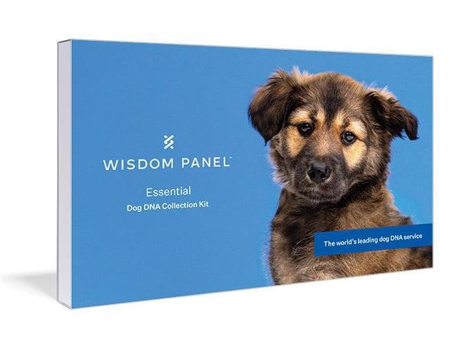 Wisdom Panel Essential Dog DNA Test