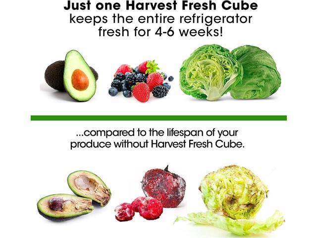 Harvest Fresh Cube Produce Saver Extend produce shelf life up to 500%  Simply unwrap and forget! (Pack of 2 (180 Day Supply)) 