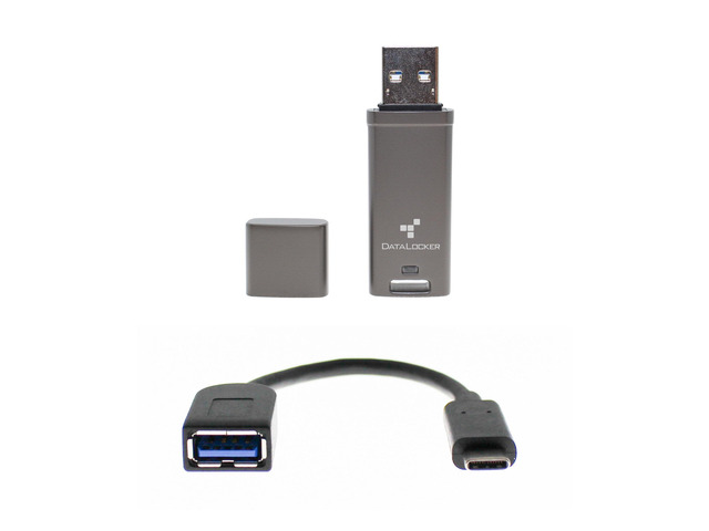 DataLocker DL GO Encrypted USB Flash Drive | USB 3.2 Gen 1 | AES 256 ...