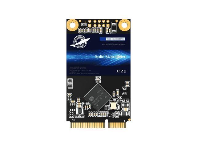 Dogfish SSD MSATA 16GB – Unità A Stato Solido Interna – Veloce E Affidabile Per Laptop E Desktop – Lettura 560MB/s